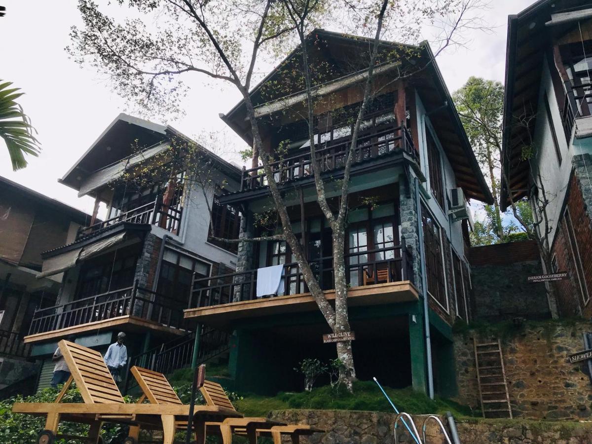 Tina Nature Villa Ella Exterior photo